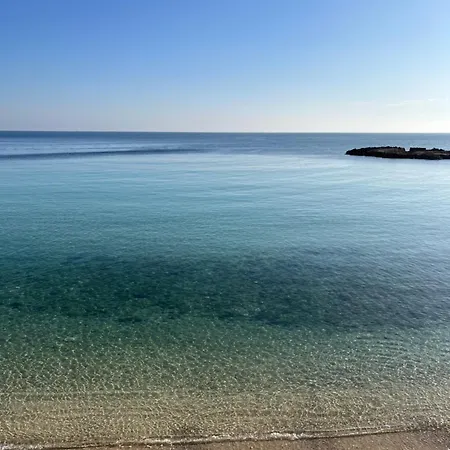 Innesto - 4*