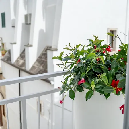 Casa de hóspedes Innesto - 4*