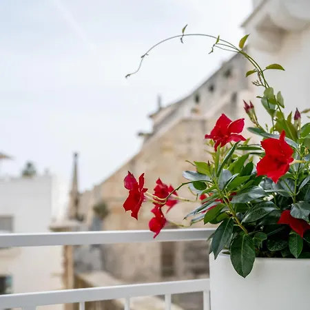 Innesto - 4* Monopoli